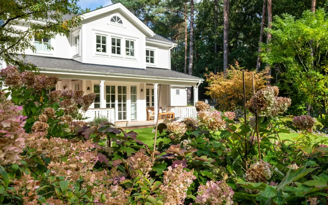 Vor dem weißen Landhaus von Beran Gärten blühen spät im Jahr Hortensien, während der Garten mit Rasen und hohen Kiefern den Waldrand rahmt.
