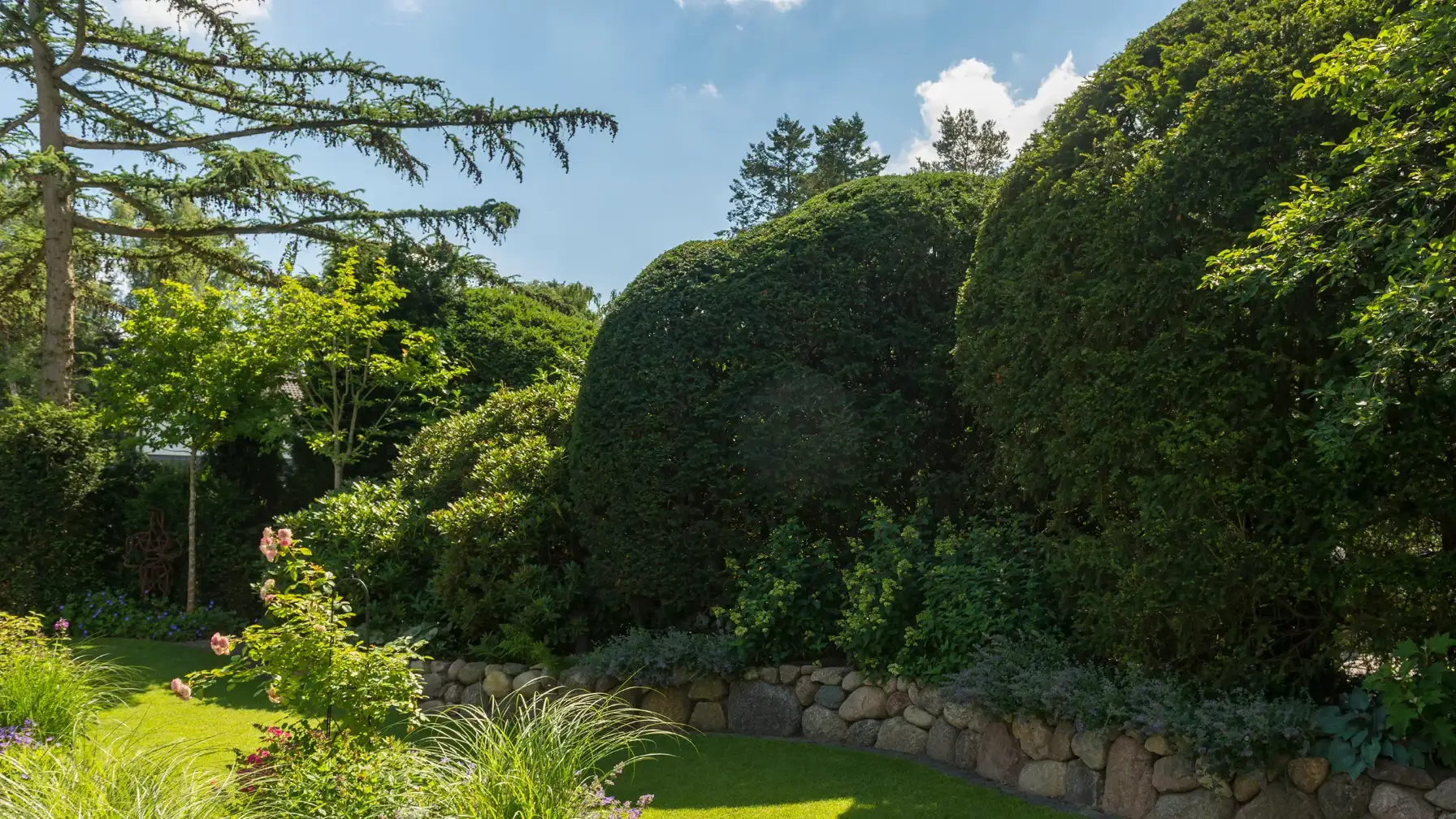 Grüne Gartenlandschaft mit großen, runden Bäumen und Sträuchern in einer gepflegten Umgebung.