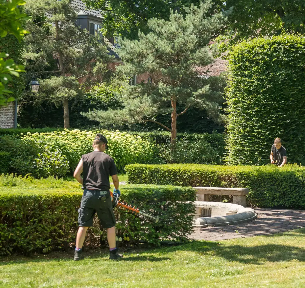 Mann schneidet eine Hecke mit einem Heckenschneider in einem Garten.
