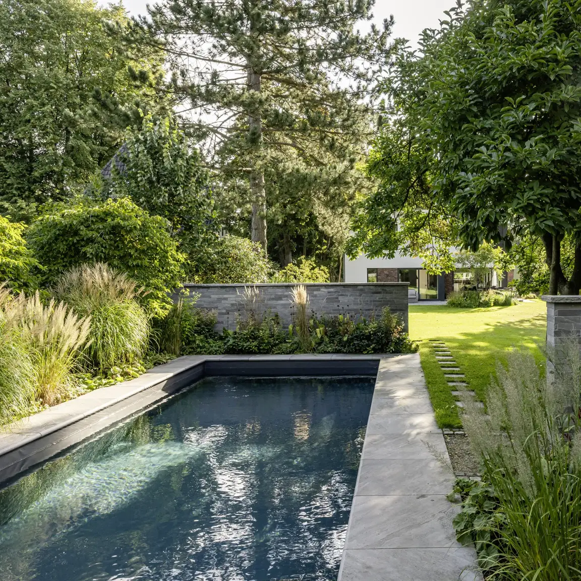 Ein schmaler, dunkler Pool liegt zwischen üppiger Bepflanzung, Natursteinmauer und Rasen in einem modernen Garten mit hohen Bäumen.