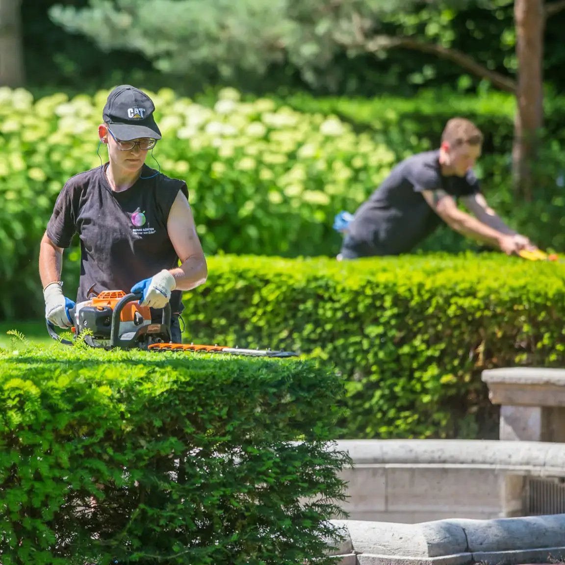 Bei der Gartenpflege werden grüne Hecken mit einem orangefarbenen Schneidgerät bearbeitet, während ein Mitarbeiter mit Schutzbrille arbeitet.