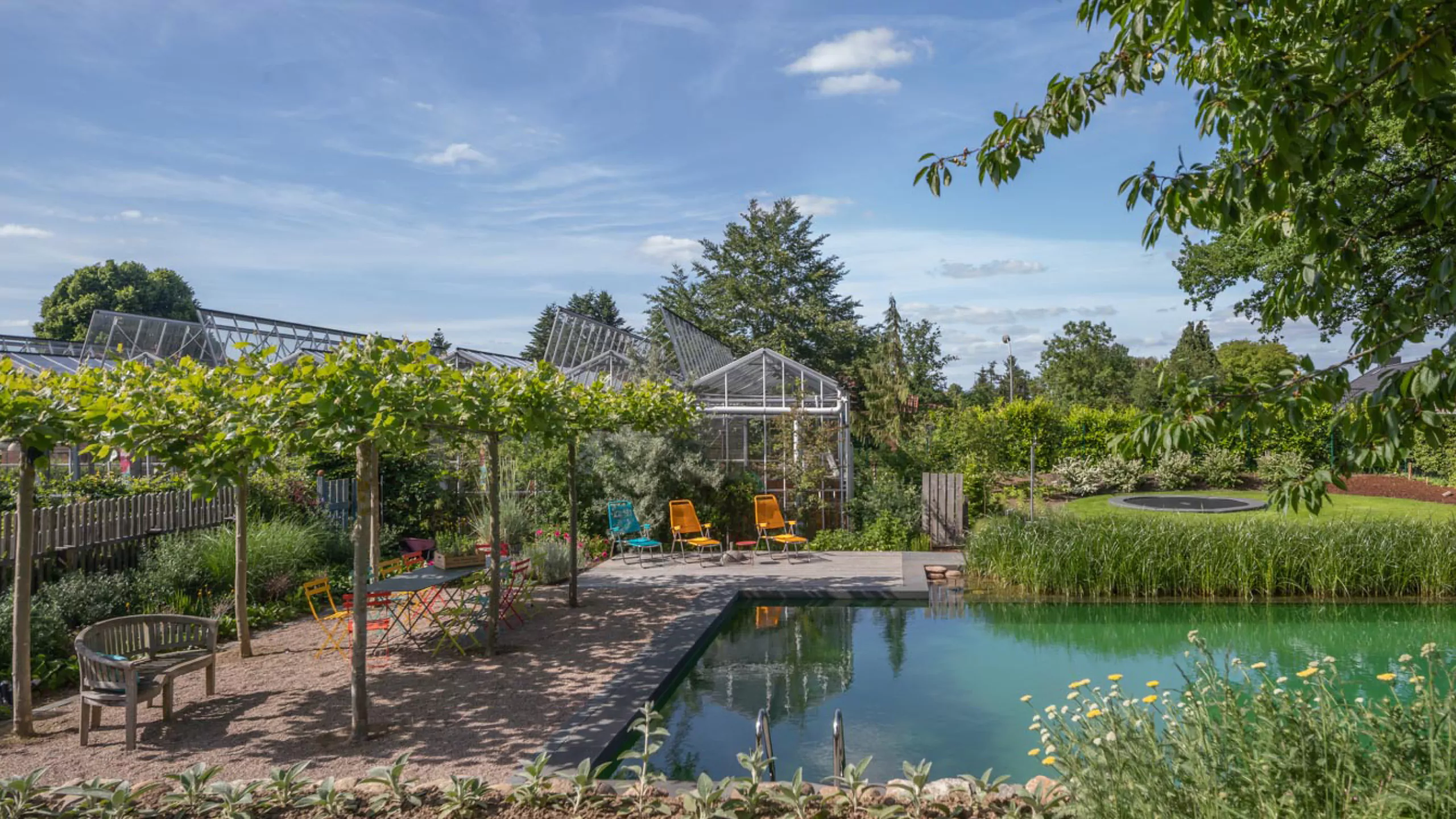 Ein Garten mit einem Teich, einem Gewächshaus und Sitzgelegenheiten in der Nähe von Pflanzen.