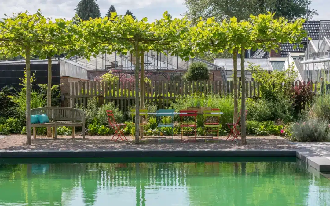 Gartengestaltung Kosten: Was kostet ein neuer Garten wirklich?
