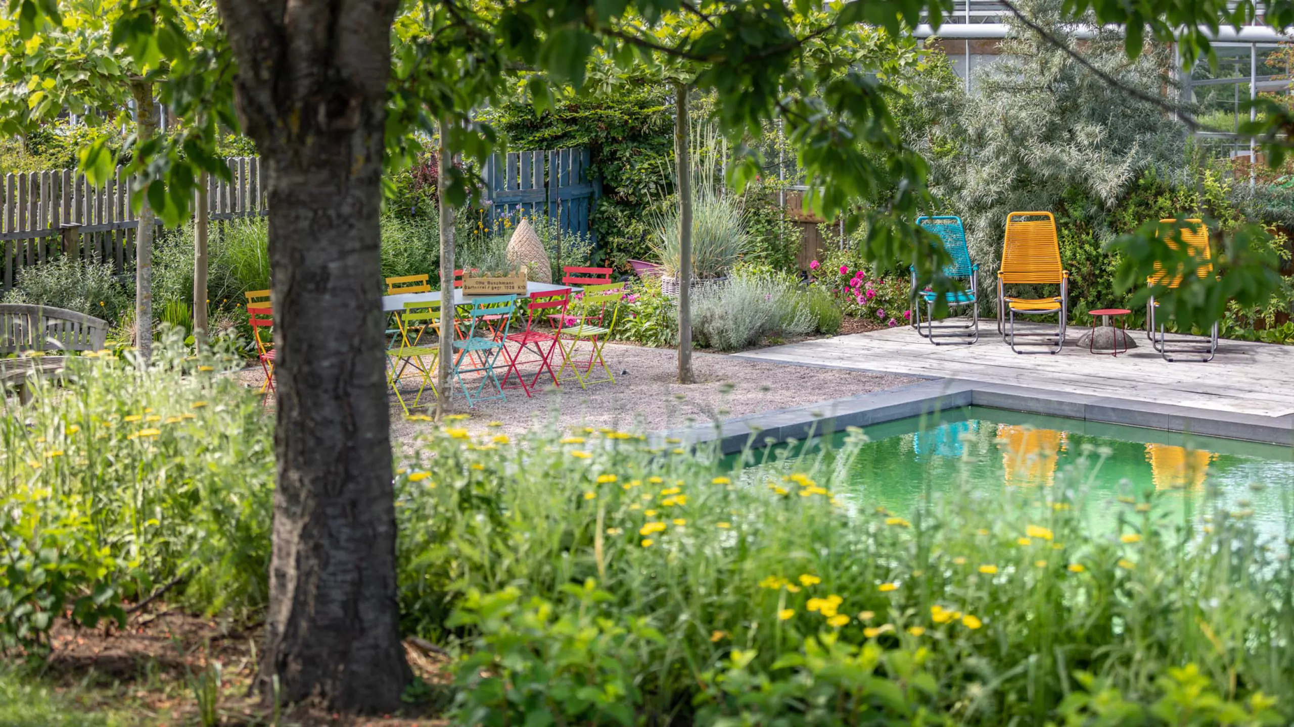 Ein Garten mit einem Schwimmbecken, Liegen und bunten Stühlen umgeben von Pflanzen.