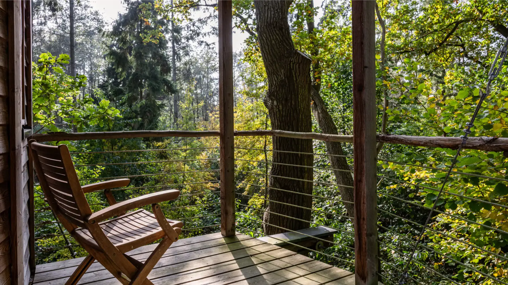 Auf der Holzterrasse eines Baumhauses steht ein Klappstuhl mit Blick in den sonnendurchfluteten Wald zwischen hohen Stämmen und grünem Laub.