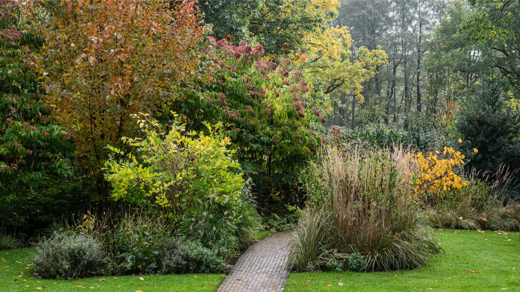 Ein geschwungener Gartenweg führt durch einen herbstlichen Beran-Gärten-Park mit Ziergräsern, bunten Sträuchern und goldgelbem Laub.
