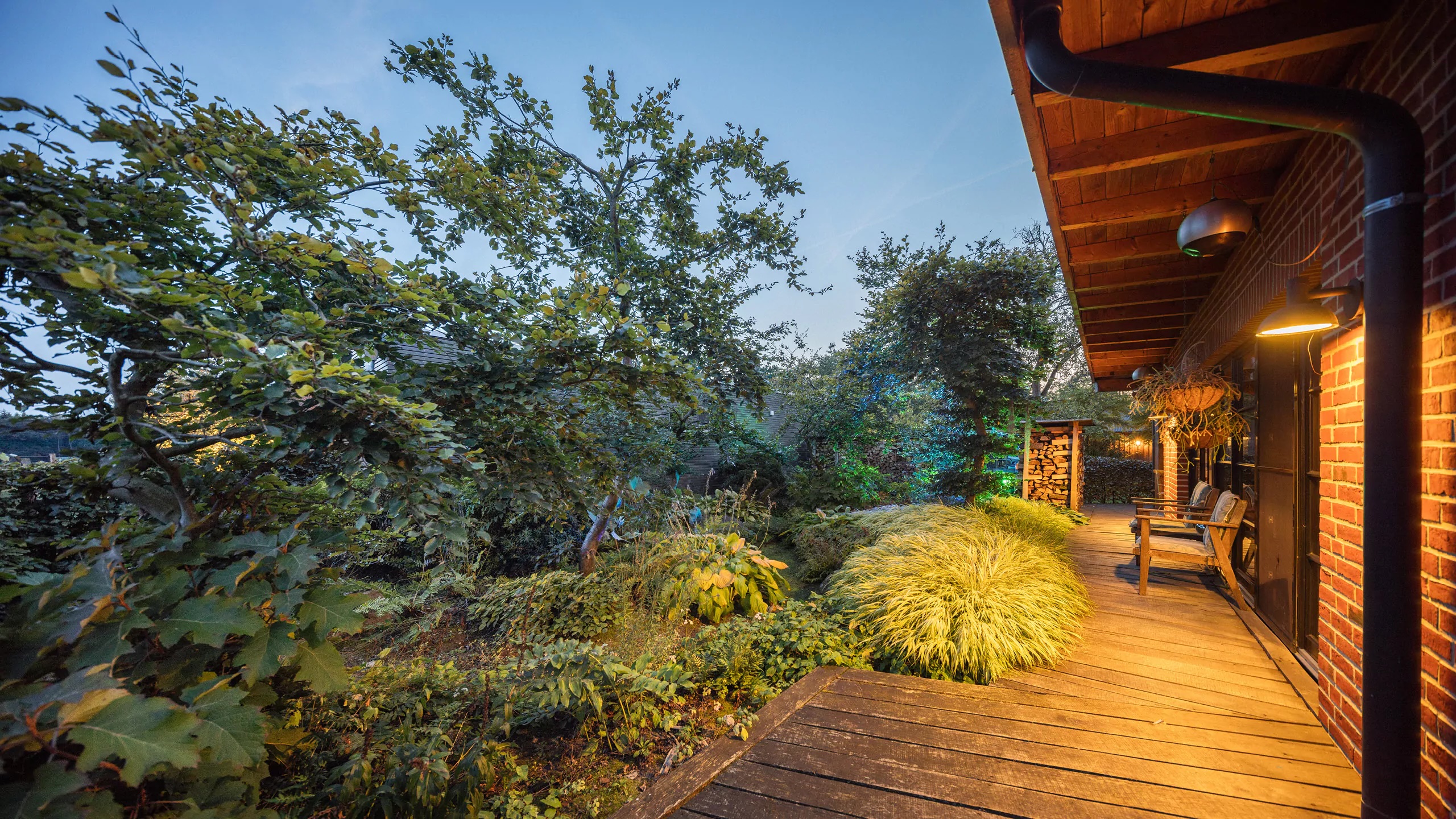 Im Schattengarten von Beran Gärten leuchten Holzdeck, Pflanzen und Hausfassade im warmen Abendlicht.