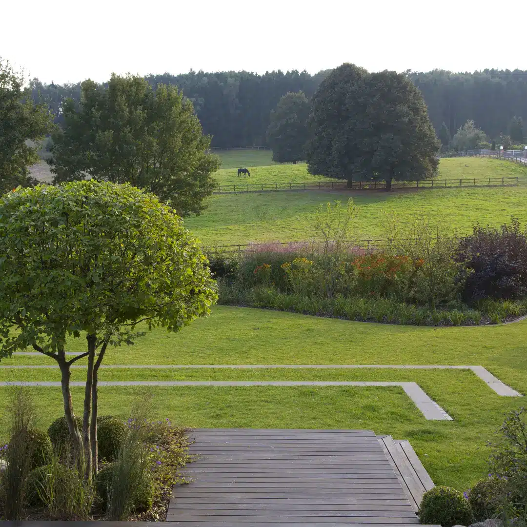 Gartengestaltung-Seevetal Ein grüner Baum steht neben einem Schwimmbecken mit zwei Gartenliegen im Hintergrund.